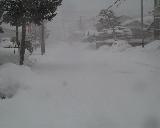 ����̓��H